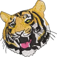 Visage de tigre