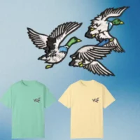 Ducks are Flying