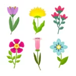 Flowers