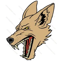 Visage en colère de coyote