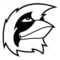 cardinal Face
