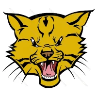 Bobcat Face
