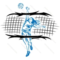 Volleyball Sports Logo